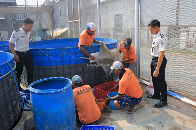 Ketahanan Pangan Berbuah Nyata, Lapas Pemuda Madiun Panen 92 Kg Lele