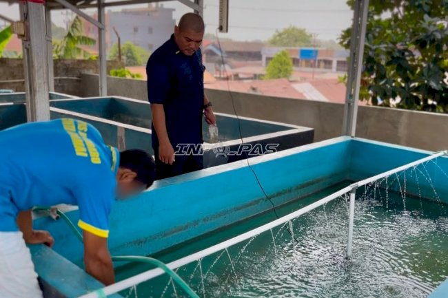 Lapas Kotabaru Uji Coba Budi Daya Ikan Nila dengan 100 Bibit Perdana