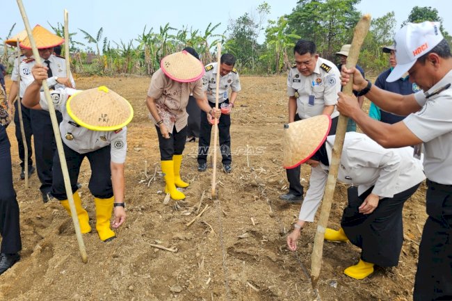 Lapas Pangkalpinang Kembangkan Lahan Perkebunan Terpadu, Direktur SSPP Beri Apresiasi